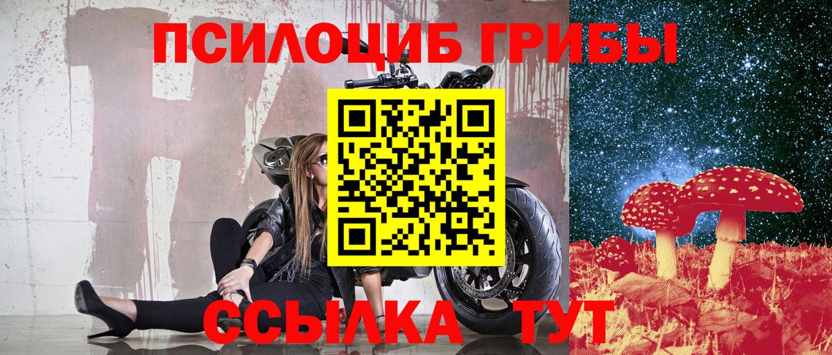 Белореченск  Псилоцибиновые грибы мицелий  Вход с VPN 